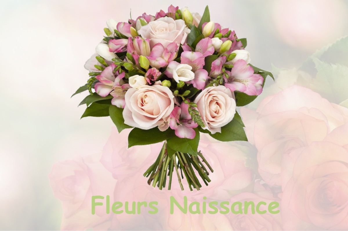 fleurs naissance NEUVY-SUR-LOIRE